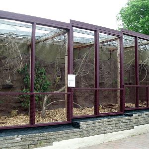 Jesperhus Junglezoo -Squirrel monkey exhibit