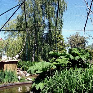 Jesperhus Junglezoo - Aviary