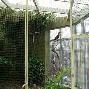 Jesperhus Junglezoo - Hornbill aviary