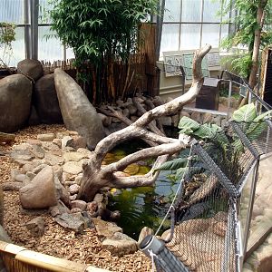 Jesperhus Junglezoo - Otter exhibit