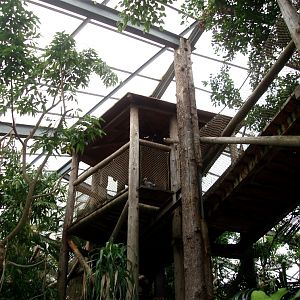 Jesperhus Junglezoo - South America