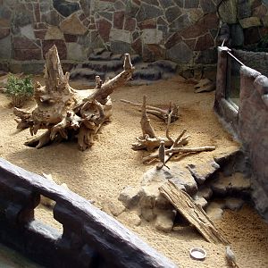 Jesperhus Junglezoo - Meerkat exhibit