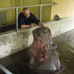 2005 - Hippo with zookeeper
