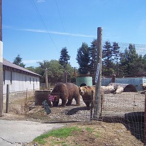 The Olympic Game Farm