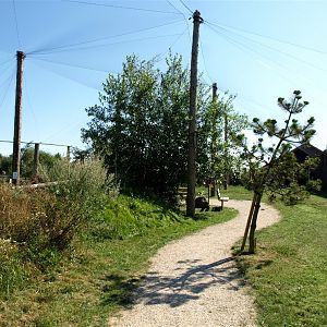 Munkholm Zoo - Free-flight aviary
