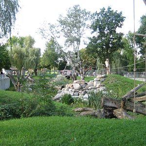 Freiburg Mundenhof Crab Eating Monkey Exhibit
