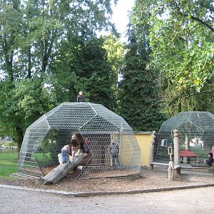 Freiburg Mundenhof Crab Eating Monkey Old Exhibits