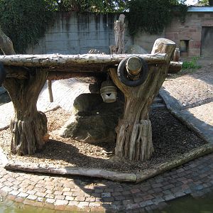 Freiburg Mundenhof Bear Exhibit