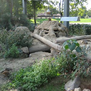 Freiburg Mundenhof Merkat exhibit