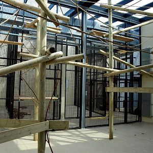 Burgers Rimba - Gibbon indoor exhibit