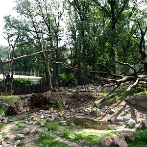 Burgers Rimba - Sun bear exhibit