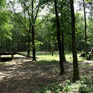 Burgers Safari - Lion enclosure