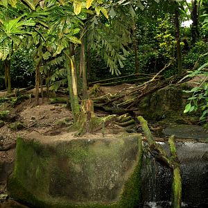 Burgers Bush - Otter exhibit