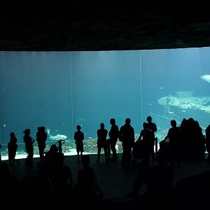 Burgers Ocean - Deep waters