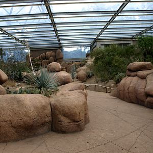 Burgers Desert - Desert paths