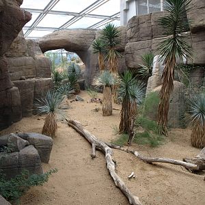 Burgers Desert - Burrowing owl exhibit
