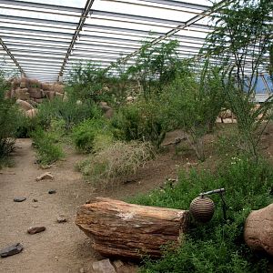 Burgers Desert - Landscape