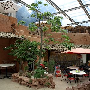 Burgers Desert - Cantina