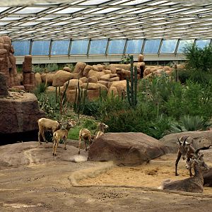 Burgers Desert - Landscape