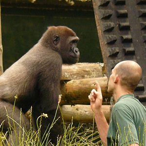 FUN & GAMES WITH THE BOYS