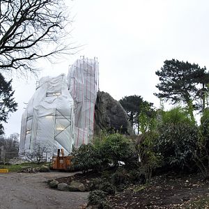 Renovation of the rocks (babary-sheep)