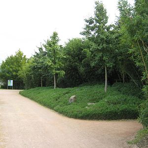 Freiburg Mundenhof Bamboo Wood