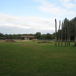 Freiburg Mundenhof Bactrian Camel exhibit with barn