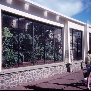 Aviary for small doves, finch and quail - 1990