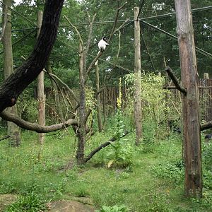 Apenheul - Madagaskar exhibit