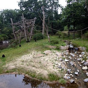 Apenheul - Bonobo exhibit