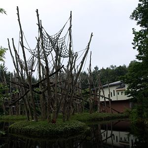 Apenheul - Orangutan islands