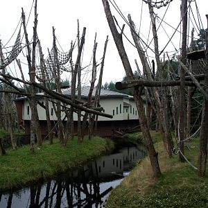 Apenheul - Orangutan islands