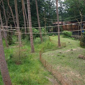 Apenheul - Spider monkey island