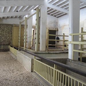 Inside Elephant house