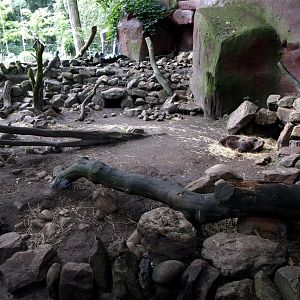 Amersfoort Zoo - Otter exhibit