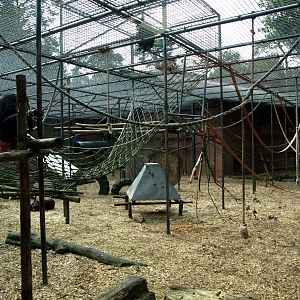 Amersfoort Zoo - Chimpanzee exhibit