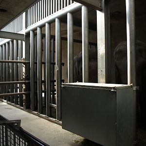 Amersfoort Zoo - Elephant indoor boxes