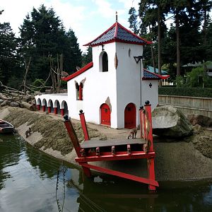 Amersfoort Zoo - Japanese macaque island
