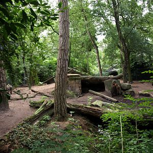 Amersfoort Zoo - Hyena exhibit