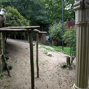 Amersfoort Zoo - The Ancient City