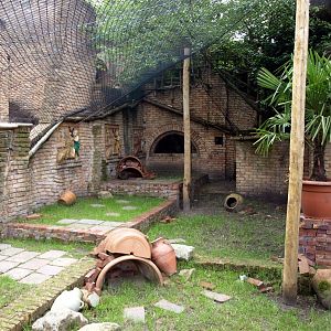 Amersfoort Zoo - The Ancient City