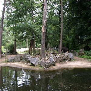 Amersfoort Zoo - Rhino exhibit
