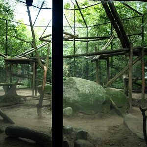 Amersfoort Zoo - Leopard exhibit