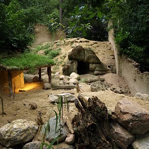 Amersfoort Zoo - Meerkat exhibit
