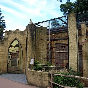 Amersfoort Zoo - Macaque exhibit