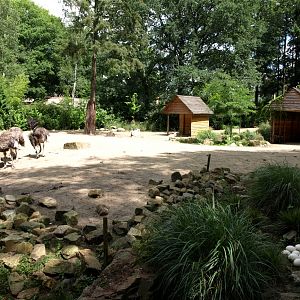 Amersfoort Zoo - Sahara exhibit