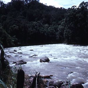 Sepik River - Telefolip, West Sepik, PNG