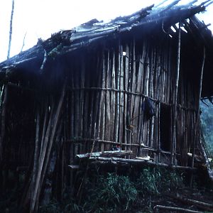Bush Hut near the Sol River - West Sepik Province, PNG