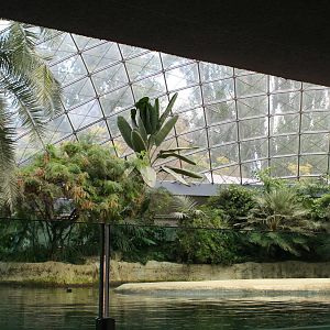 Interior of the Hippo House @ Berlin Zoo 05.09.2007