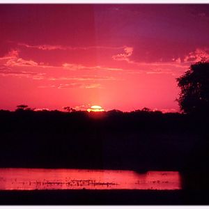 Sunset over Dom Pan- Hwange National Park, Zimbabwe